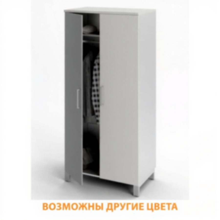 Шкаф для одежды ШГ-26.1 с замком (ЛДСП серый, каркас серый)